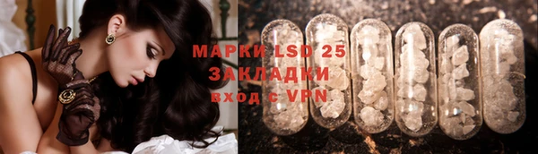 крисы Алзамай