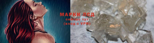 крисы Алзамай