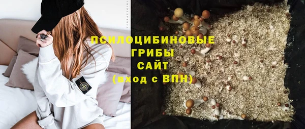 крисы Алзамай