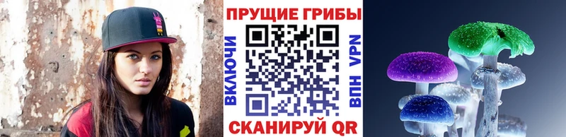 мориарти клад  наркота  Губкин  Псилоцибиновые грибы мухоморы 