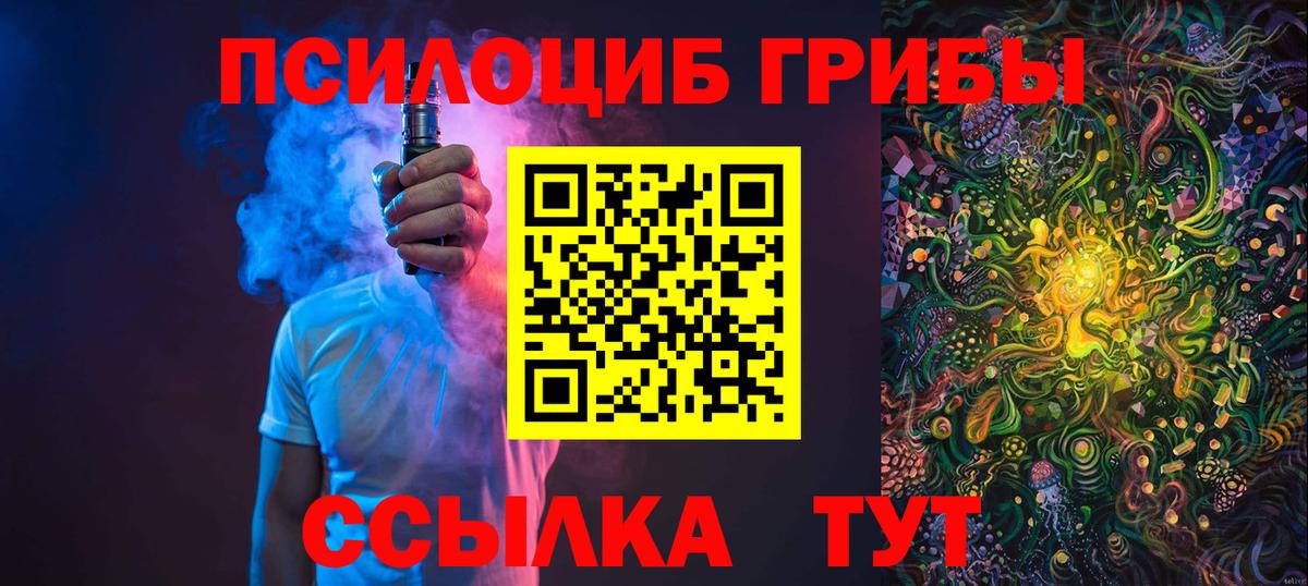 дарнет шоп  Вход с VPN  Губкин  Галлюциногенные грибы мухоморы 